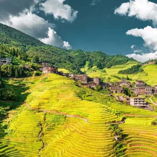 2026 Longji Terraces Trail Running Race — image 1