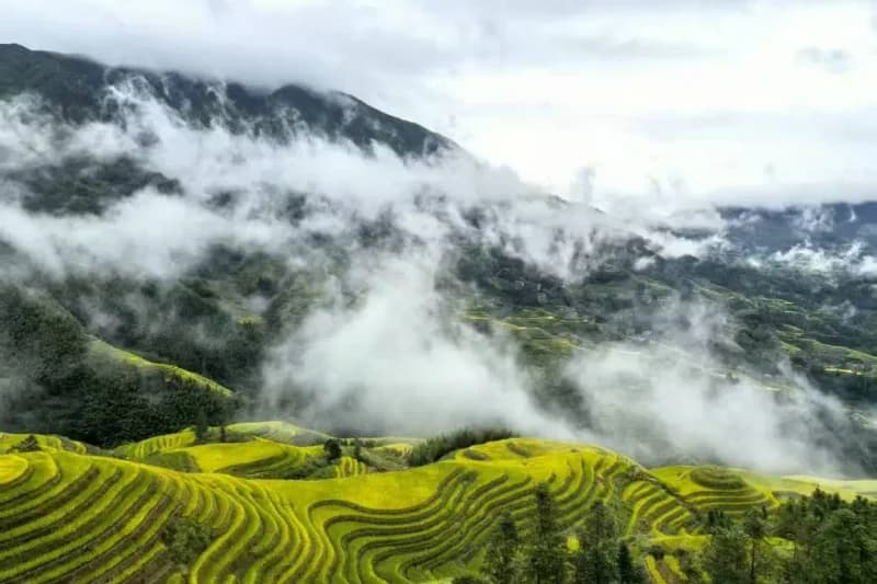 2026 Longji Terraces Trail Running Race — image 3