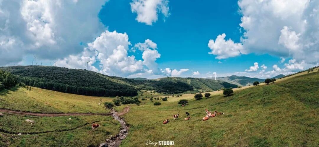 2026 MONTANE Chongli 100 Trail Run - Photo 1