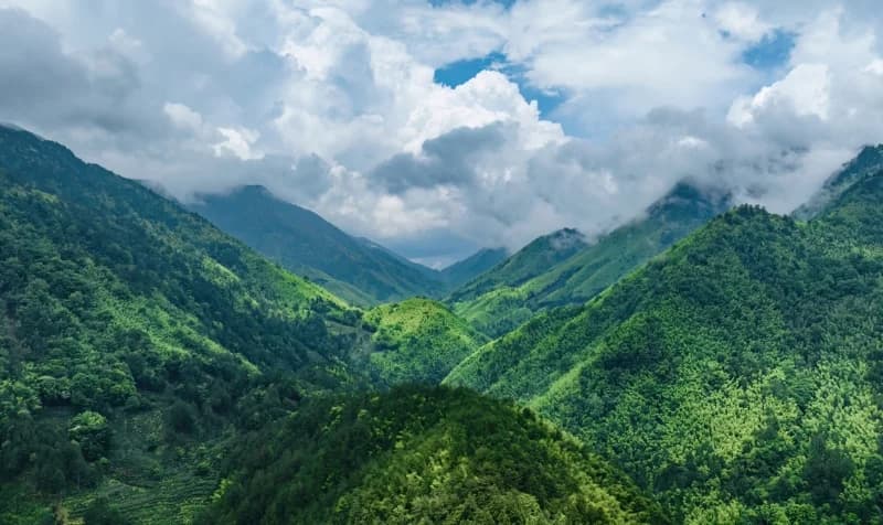 11th Grand Wuyi Trail Race — image 2