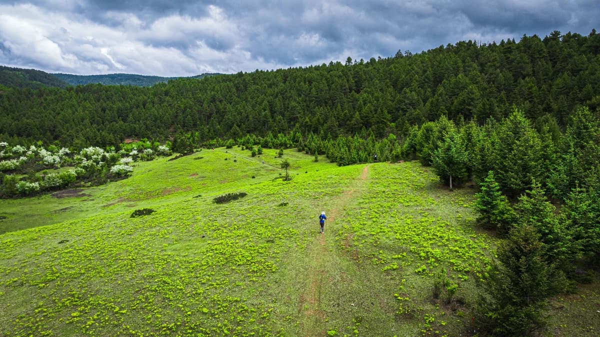 Shangri-La Trail Run 2026 — image 8