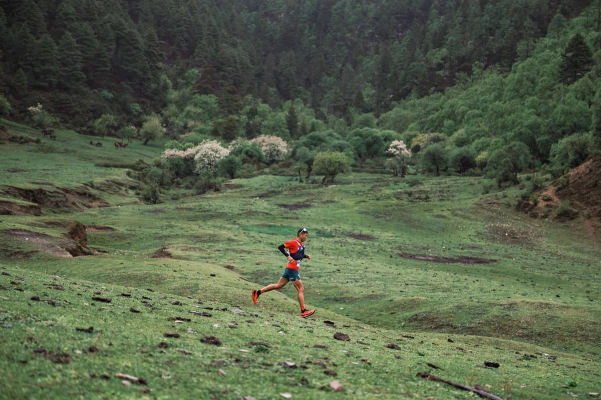 Shangri-La Trail Run 2026 — image 4