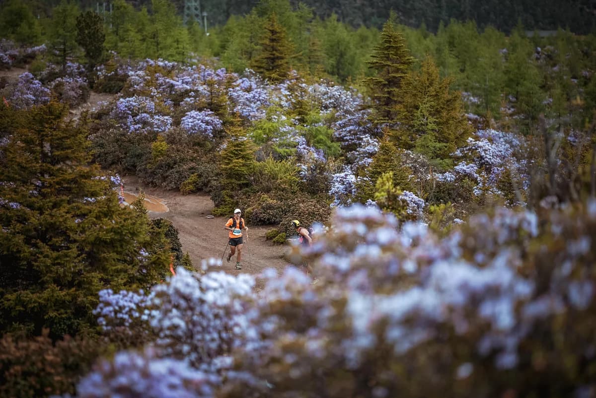 Shangri-La Trail Run 2026 — image 2