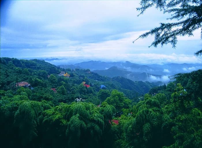 2026 Outopia Moganshan Cloud Path Trail Run — image 2