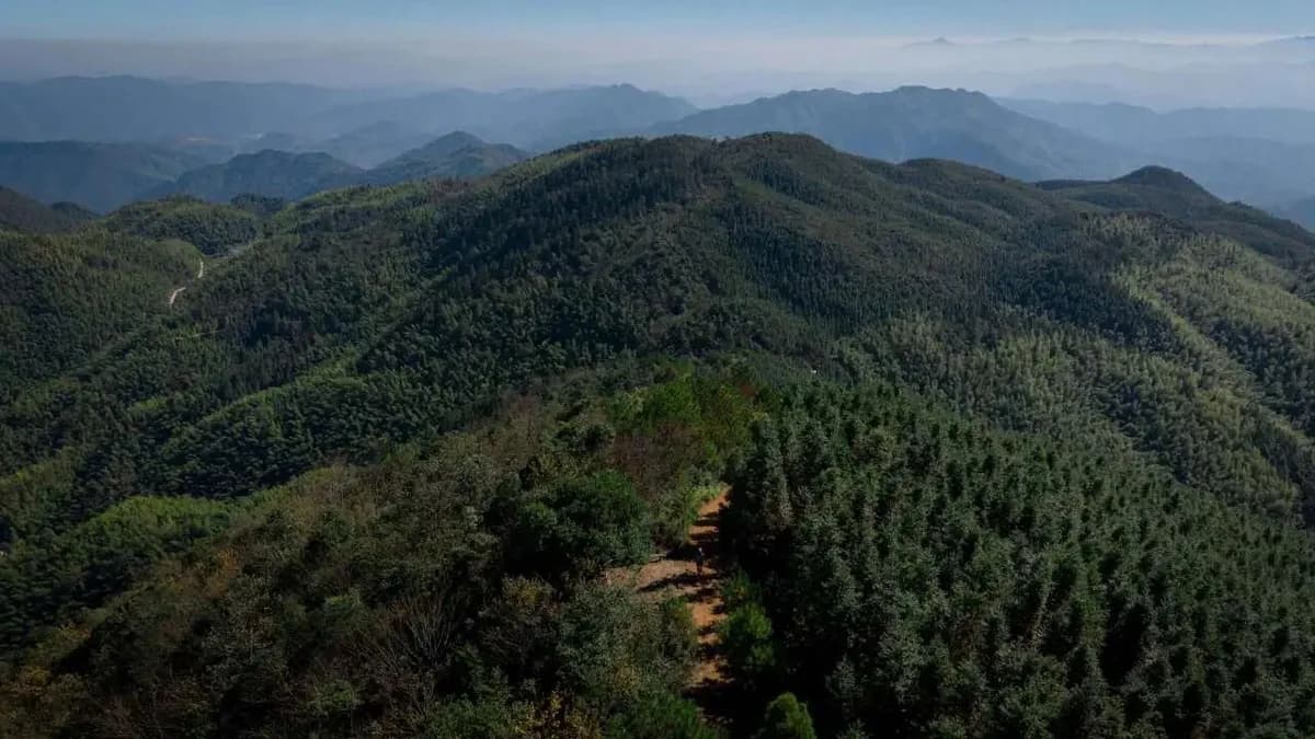 Chongyi 100 Ultra Trail — image 2