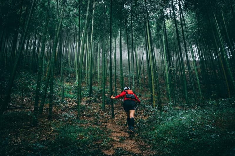 2026 Kailas Mogan Mountain Running Race — image 1