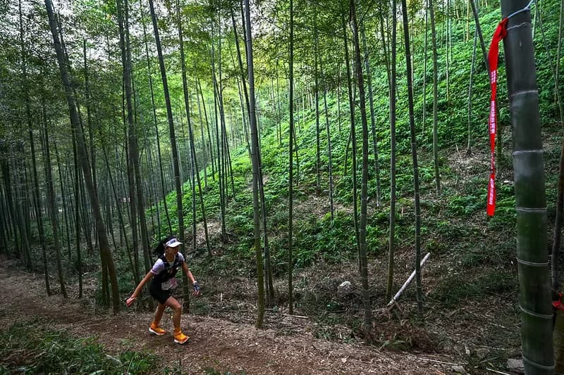 2026 Kailas Mogan Mountain Running Race — image 1