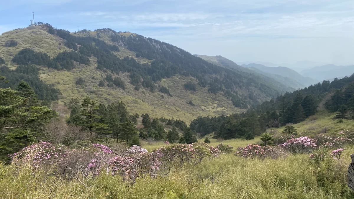 CFTT Shennongjia Ultra Race 2025 — image 6