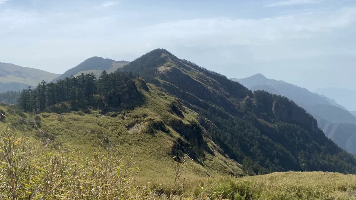 CFTT Shennongjia Ultra Race 2025 — image 8