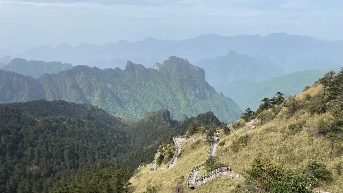 CFTT Shennongjia Ultra Race 2025 — image 9