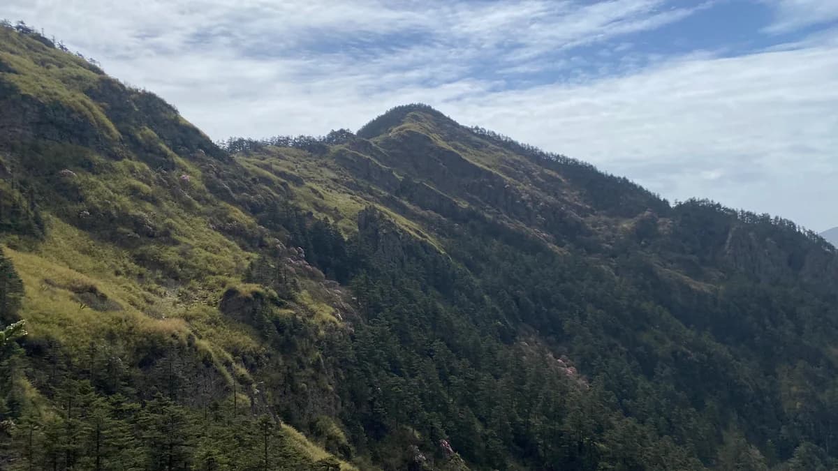 CFTT Shennongjia Ultra Race