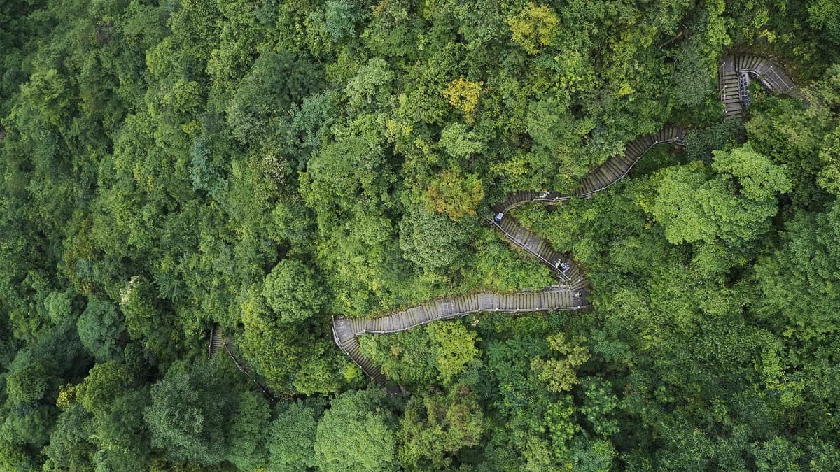 TNF100 Mount Emei Trail Challenge — image 2