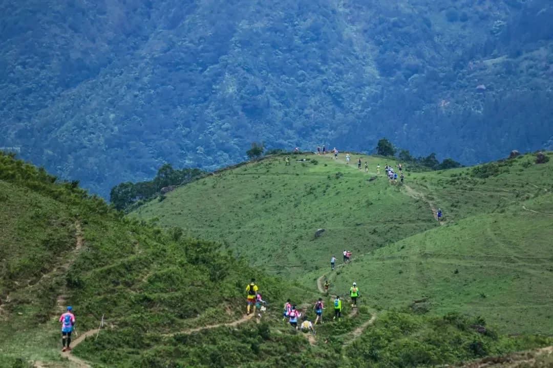 2026 Azalea Sea · Yangchun Jilongding Trail Running Race