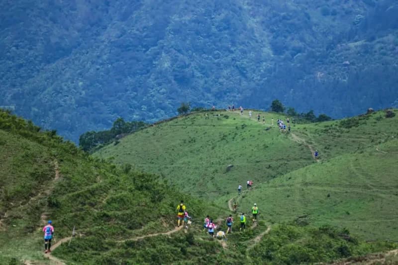 2026 Azalea Sea · Yangchun Jilongding Trail Running Race - Photo 1