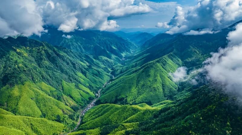 11th Grand Wuyi Trail Race - Photo 1