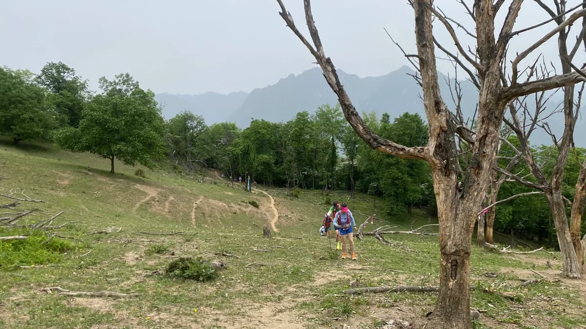 CFTT Shennongjia Ultra Race
