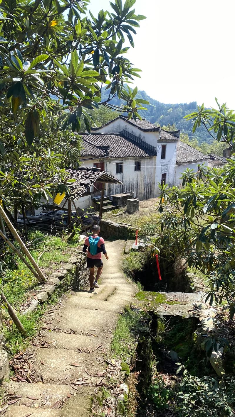 Countryside - Photo 1