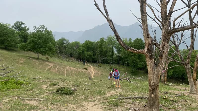 CFTT Shennongjia Ultra Race 2026 - Photo 1